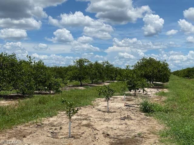 Lot 7 7th RD LABELLE, FL 33935