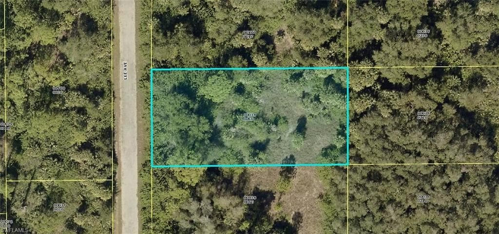 1116 Lee AVE LEHIGH ACRES, FL 33972