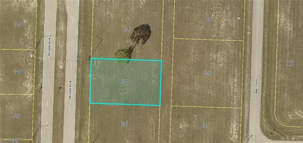 3017 Nelson RD N CAPE CORAL, FL 33993