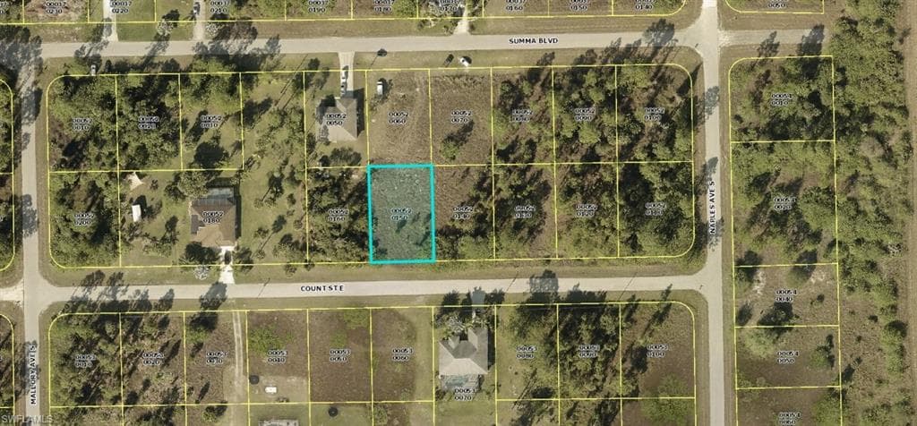 1245 Count ST E LEHIGH ACRES, FL 33974