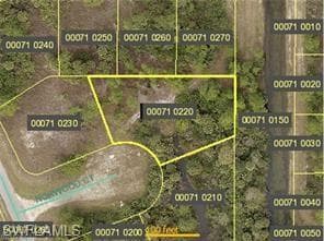 1007 Norwood CT LEHIGH ACRES, FL 33974