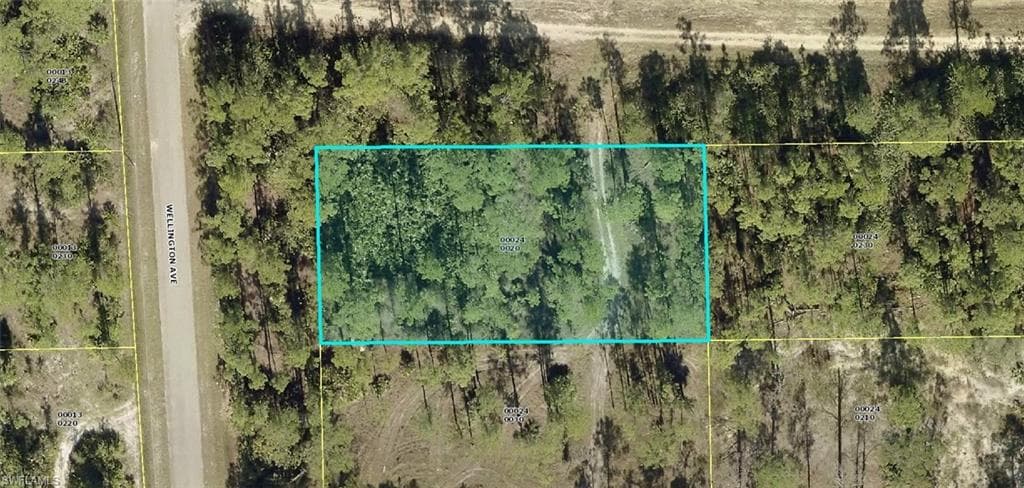 2120 Wellington AVE ALVA, FL 33920