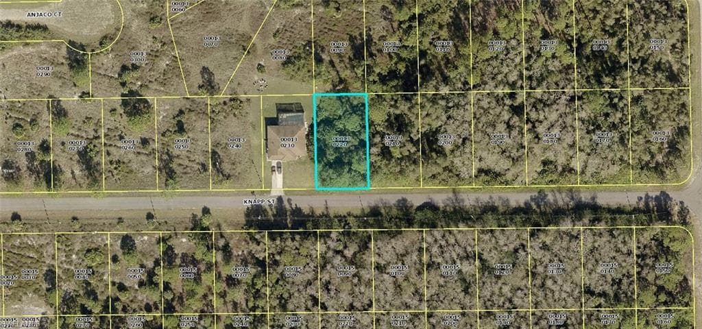 661 Knapp ST LEHIGH ACRES, FL 33974