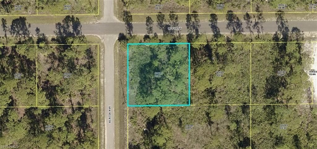 1207 W 9th ST LEHIGH ACRES, FL 33972