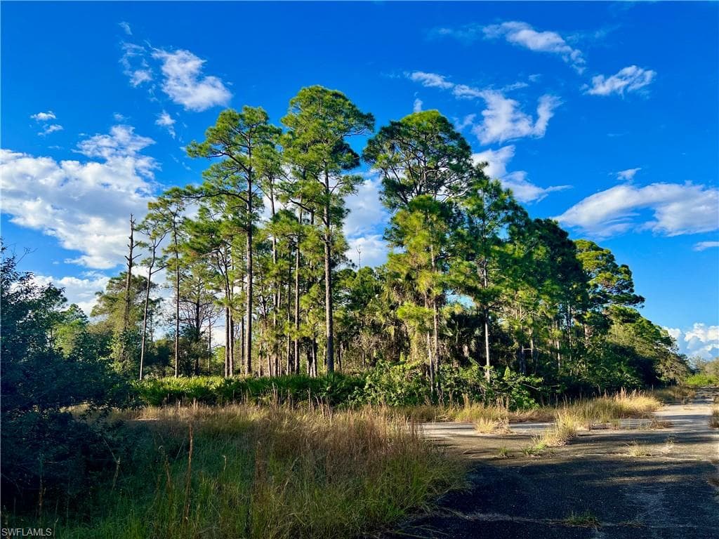 1026 Codey AVE LABELLE, FL 33935