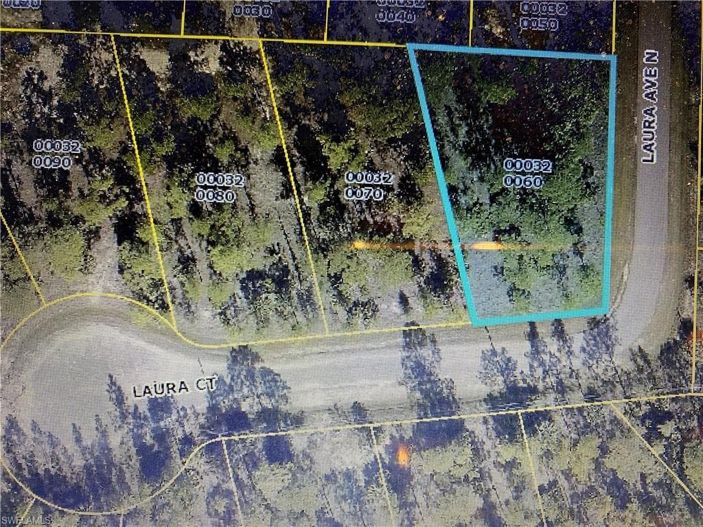 3008 Laura CT LEHIGH ACRES, FL 33971