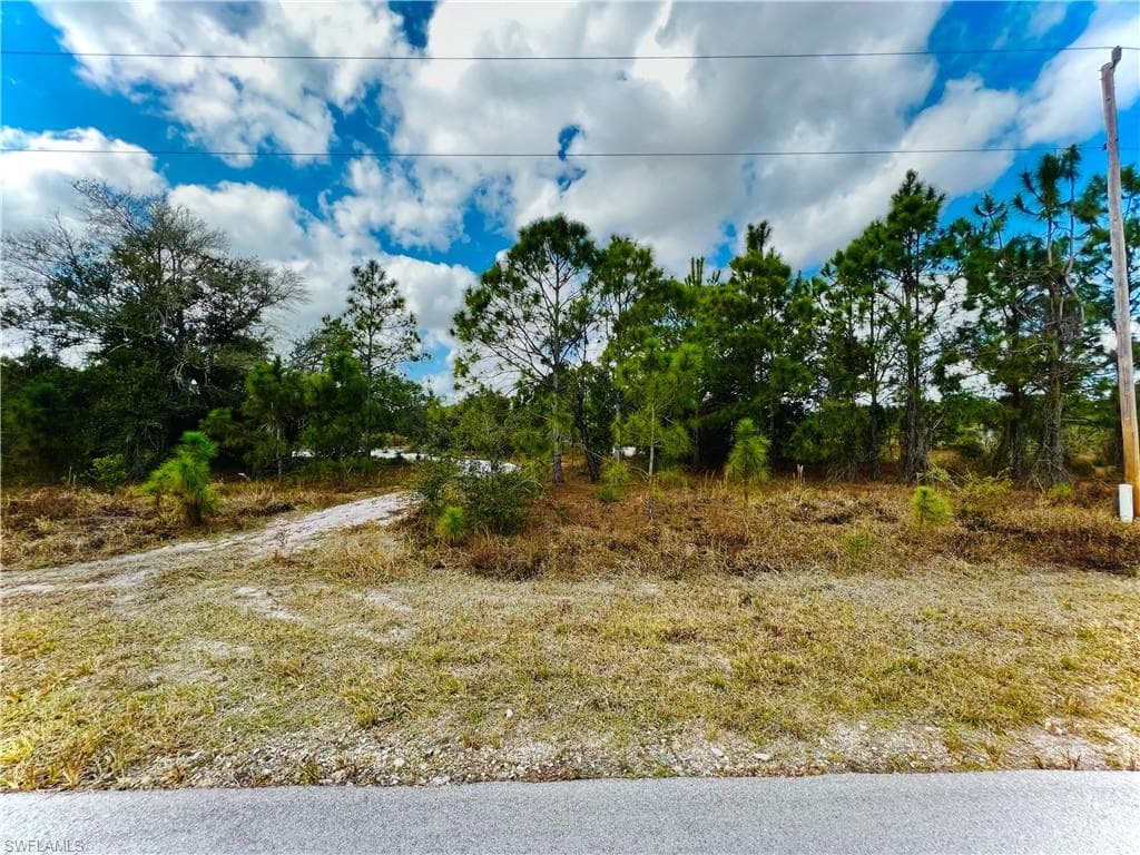926 Aletha AVE S LEHIGH ACRES, FL 33974