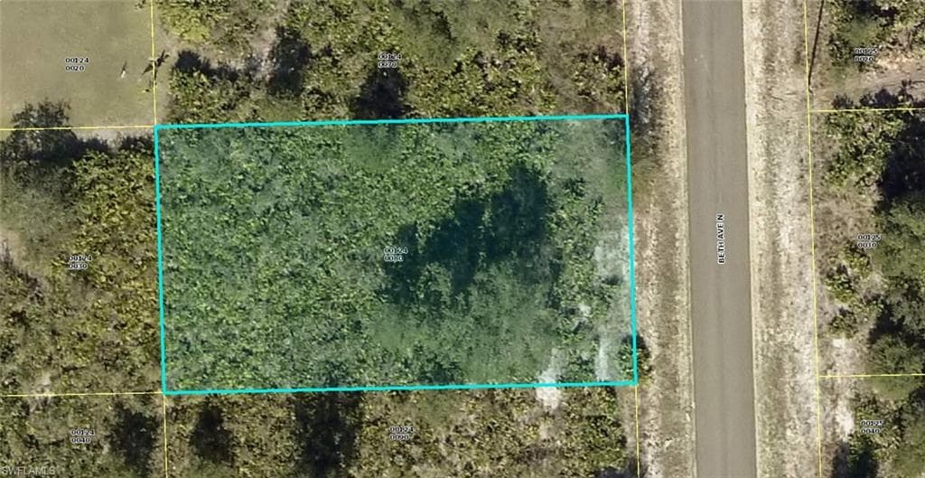 6009 Beth AVE N LEHIGH ACRES, FL 33971