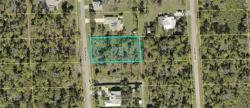 2108 Truman AVE ALVA, FL 33920