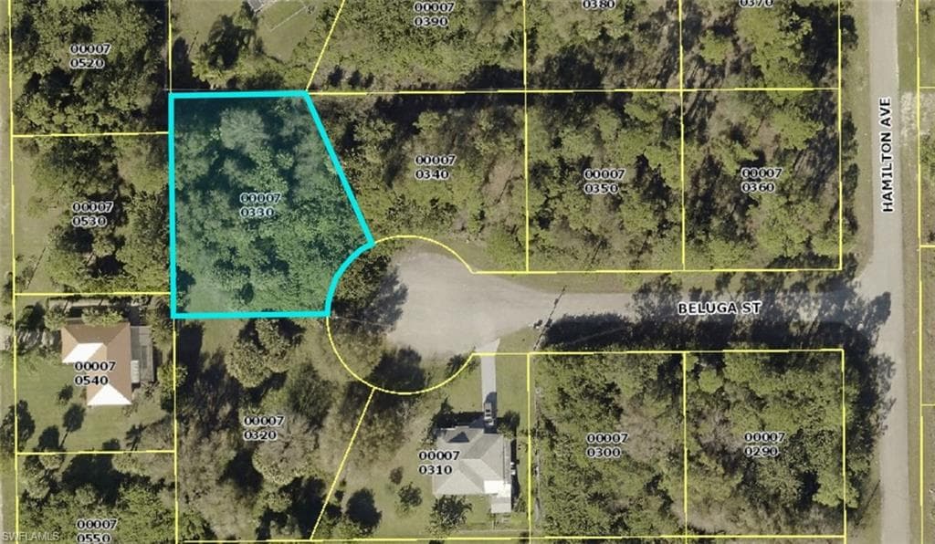 2906 Beluga ST LEHIGH ACRES, FL 33972