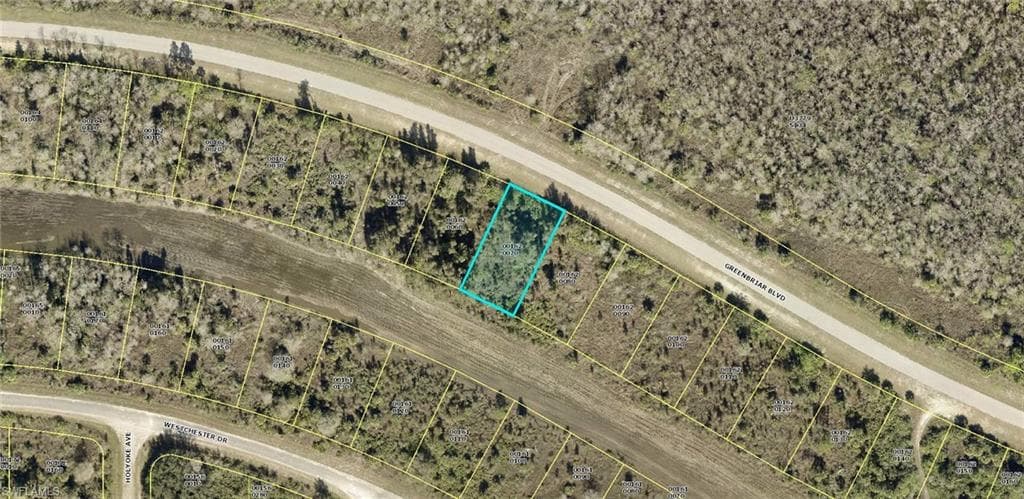 479 Greenbriar BLVD LEHIGH ACRES, FL 33972