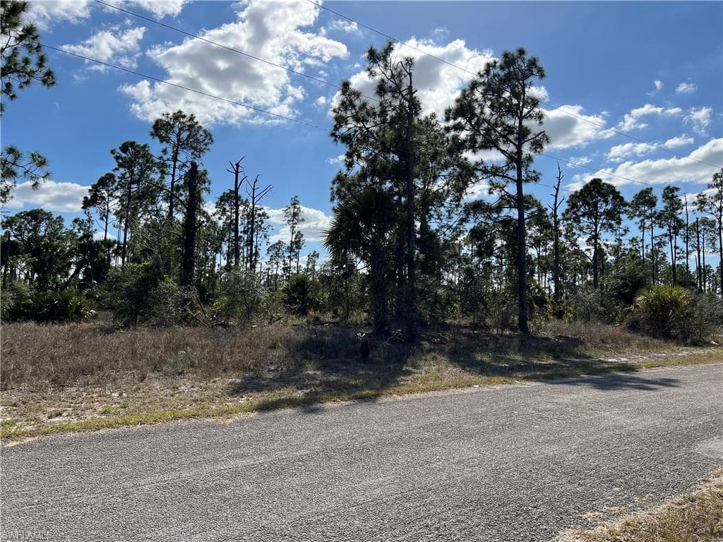 1232 Ecclesia ST E LEHIGH ACRES, FL 33974