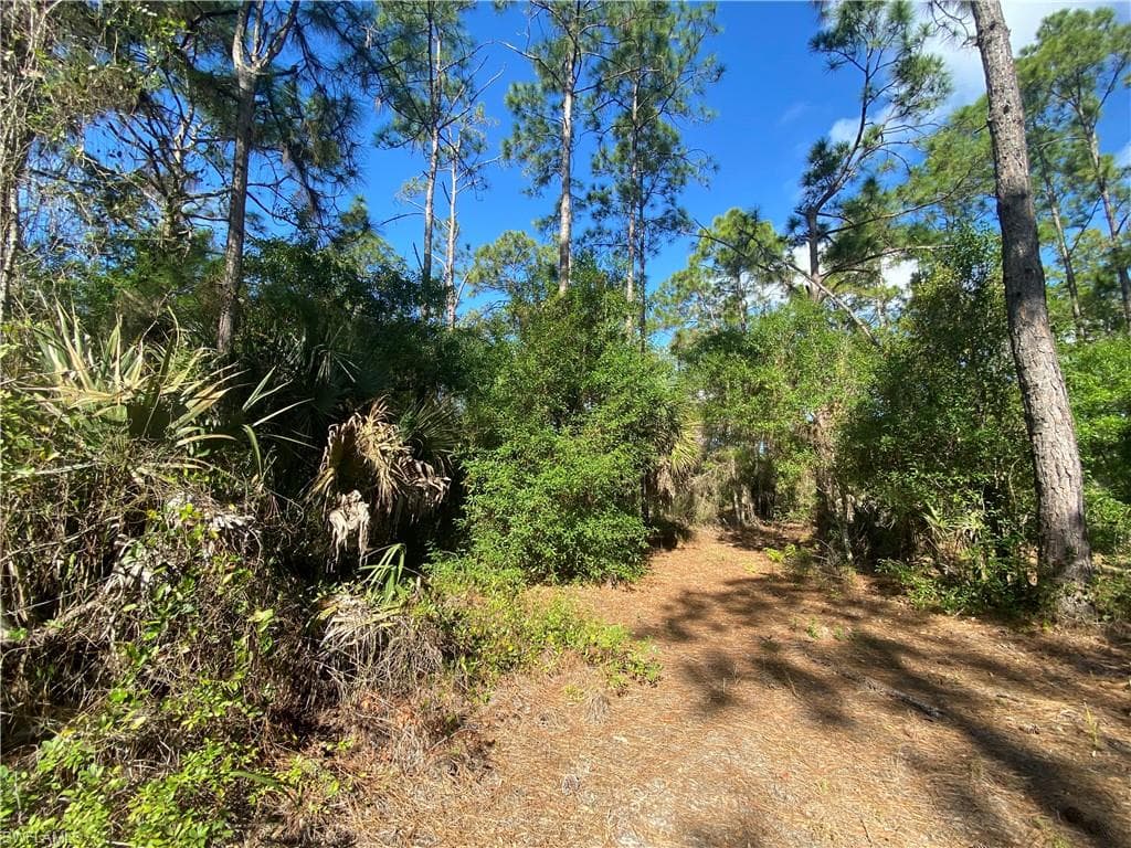 124 Nassau AVE LEHIGH ACRES, FL 33974