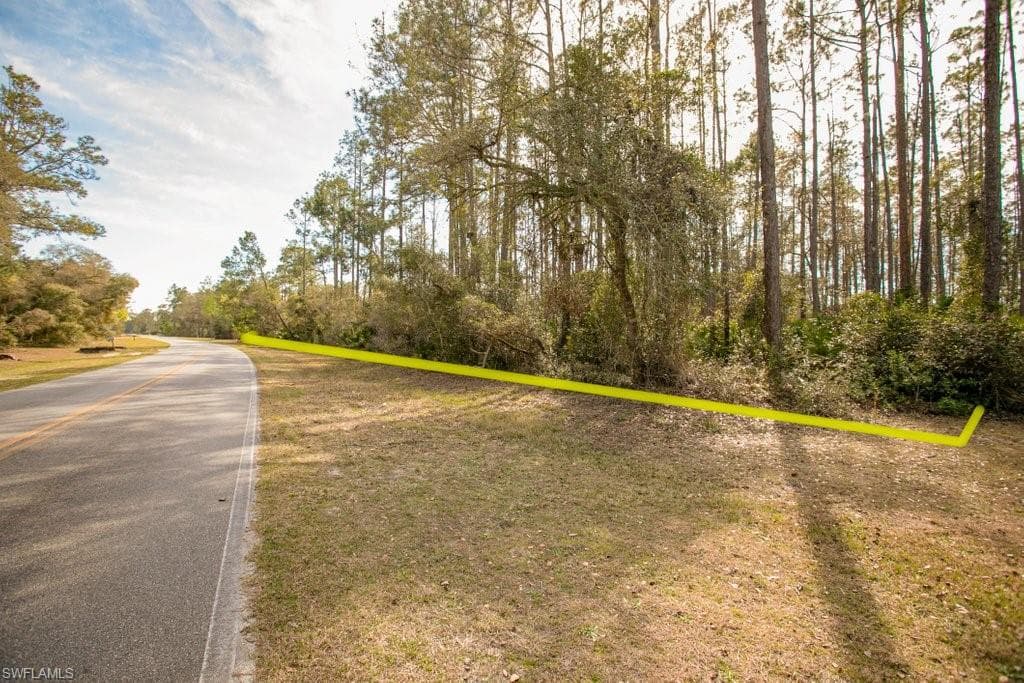 403 Plantation Pines DR GEORGETOWN, FL 32139