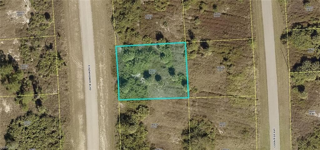 1043 Eisenhower BLVD LEHIGH ACRES, FL 33974