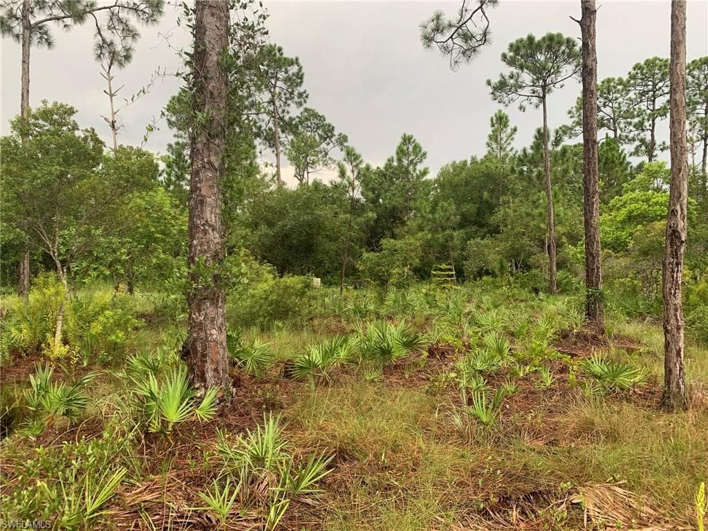 4170 Old Burnt Store RD CAPE CORAL, FL 33993