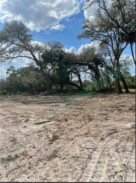 2520 BETTY PL LEHIGH ACRES, FL 33971
