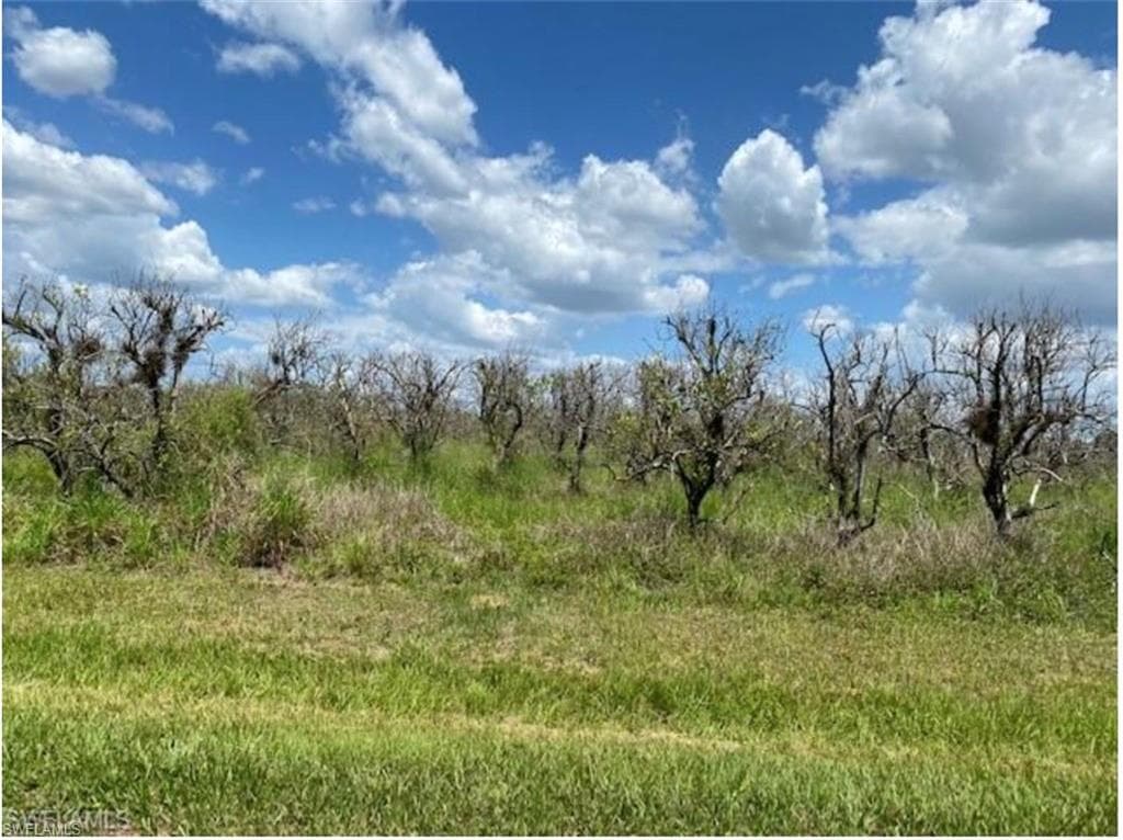 580 Norris RD FORT DENAUD, FL 33935