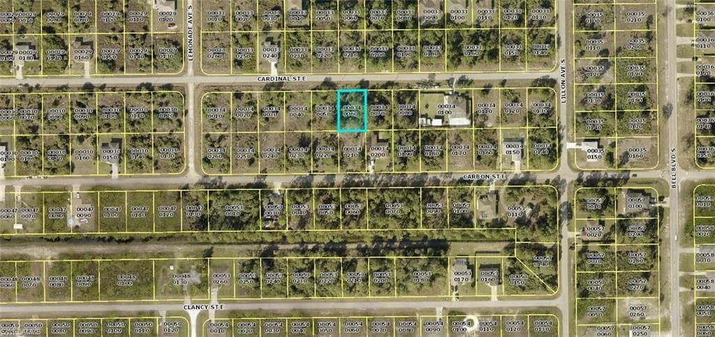 748 Cardinal ST E LEHIGH ACRES, FL 33974