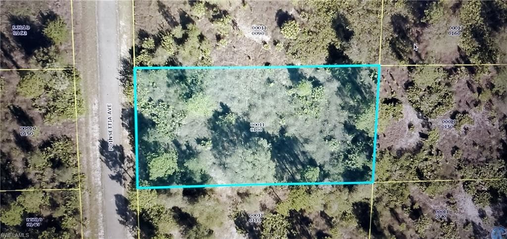 1204 Poinsettia AVE LEHIGH ACRES, FL 33972