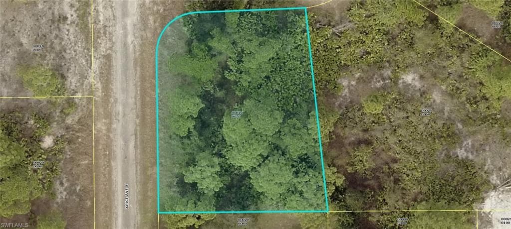 924 Alice CT LEHIGH ACRES, FL 33974