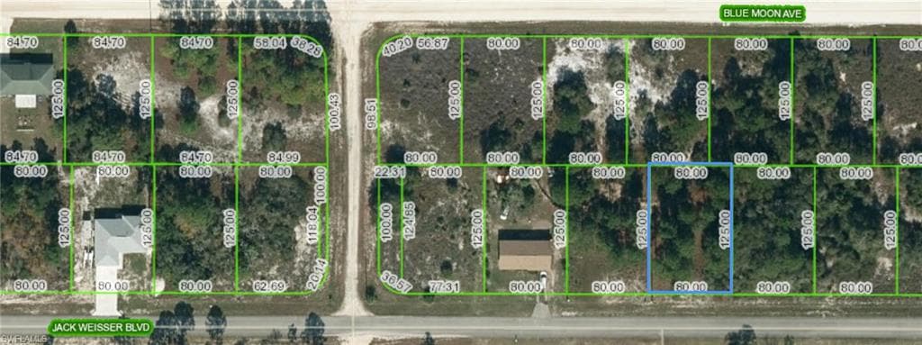 316 Jack Weisser BLVD LAKE PLACID, FL 33852