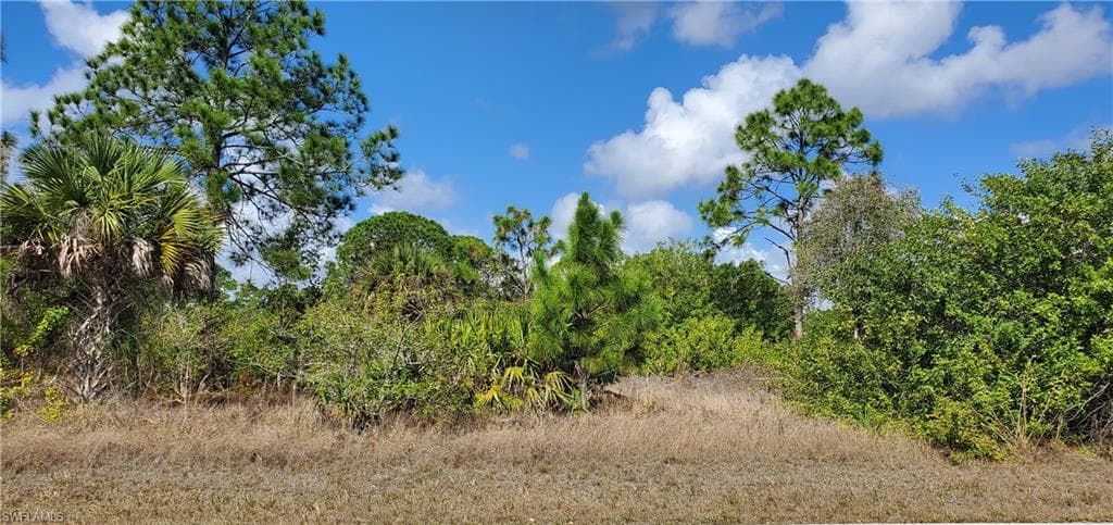 562 Redwood AVE S LEHIGH ACRES, FL 33974