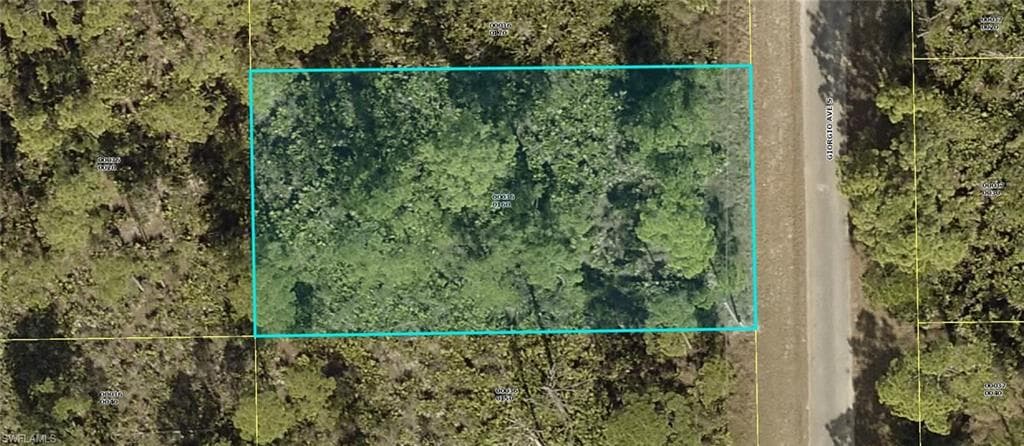 836 Giorgio AVE S LEHIGH ACRES, FL 33974