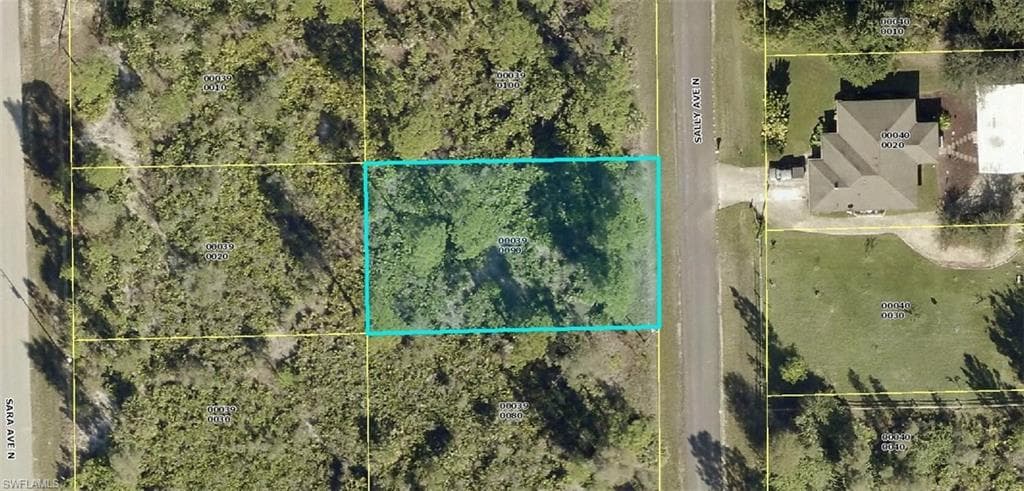 6007 Sally AVE N LEHIGH ACRES, FL 33971