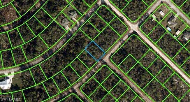 920 Cork Tree RD LAKE PLACID, FL 33852
