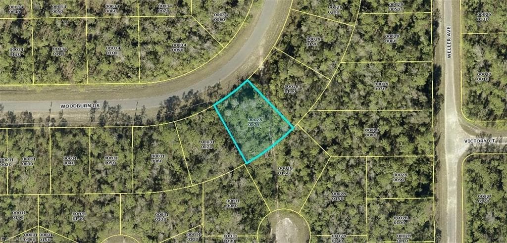 225 Woodburn DR LEHIGH ACRES, FL 33972