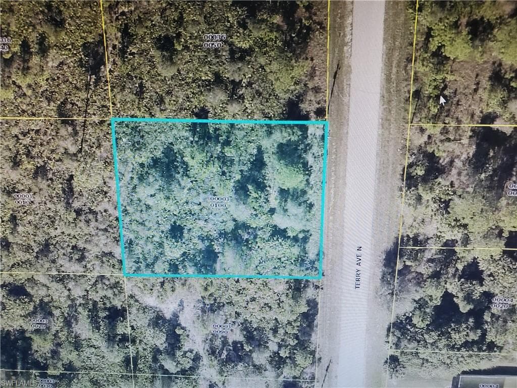 6009 Terry AVE N LEHIGH ACRES, FL 33971