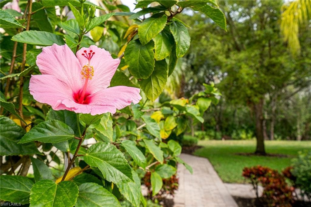 26461 Lucky Stone RD 202 BONITA SPRINGS, FL 34135