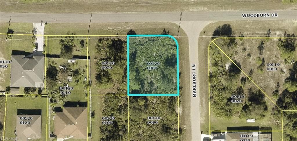 369 Woodburn DR LEHIGH ACRES, FL 33972