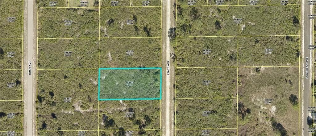 1217 State AVE LEHIGH ACRES, FL 33972