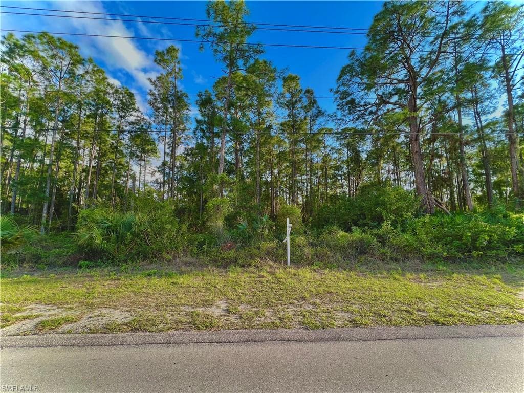1705 W 17th ST LEHIGH ACRES, FL 33972
