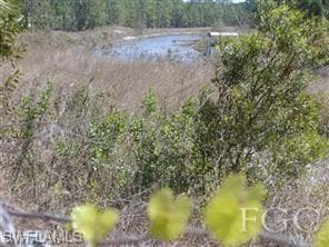 372 Clairidge CIR LEHIGH ACRES, FL 33974