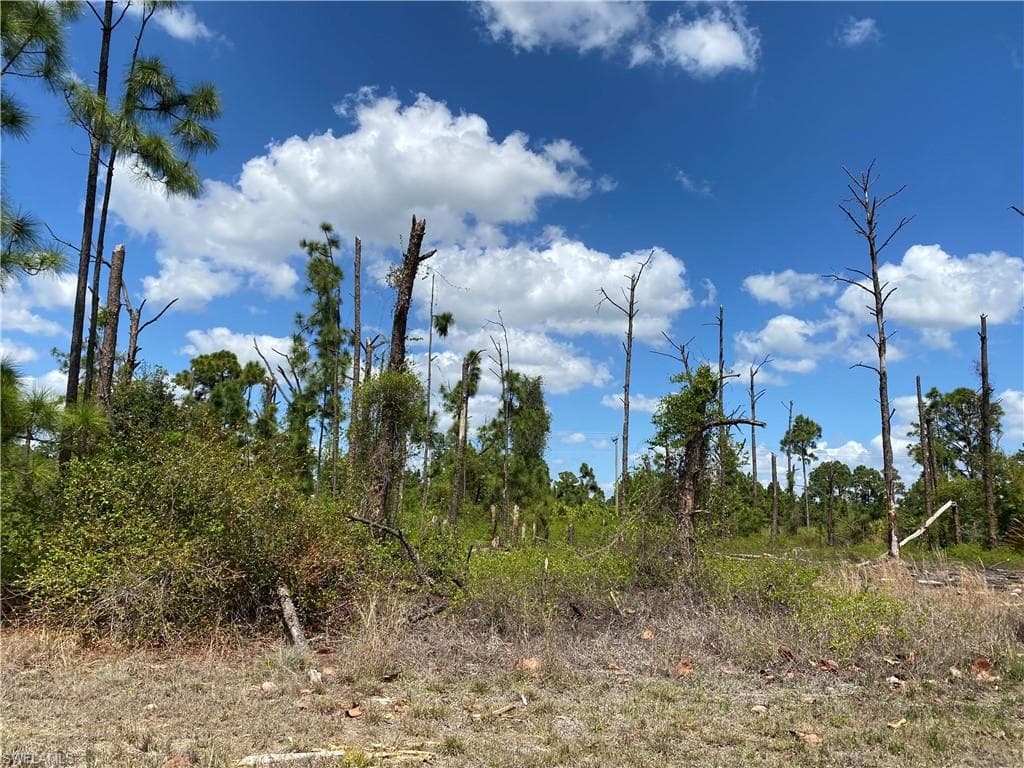 1109 Barfield ST E LEHIGH ACRES, FL 33974