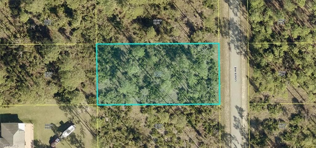 1005 Louis AVE LEHIGH ACRES, FL 33972