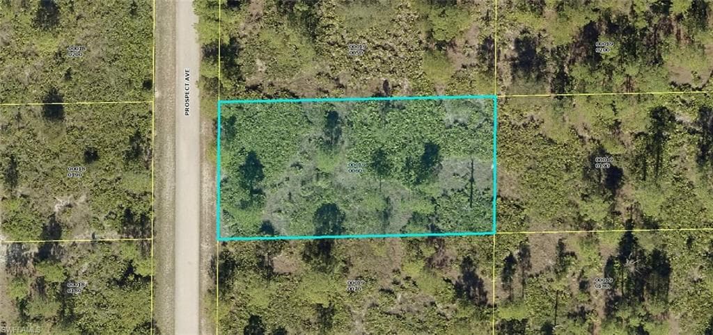 1312 Prospect AVE LEHIGH ACRES, FL 33972
