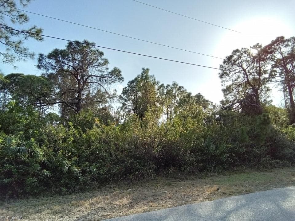 4729 14th ST SW LEHIGH ACRES, FL 33973