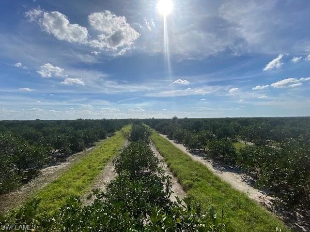 44511 Neal RD PUNTA GORDA, FL 33982