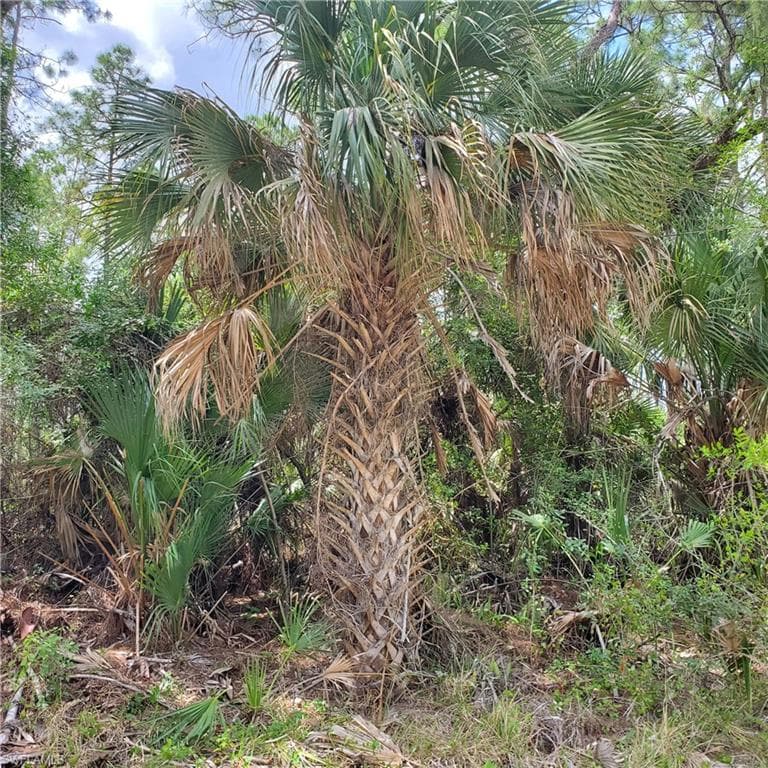 315 Virginia WAY LEHIGH ACRES, FL 33936