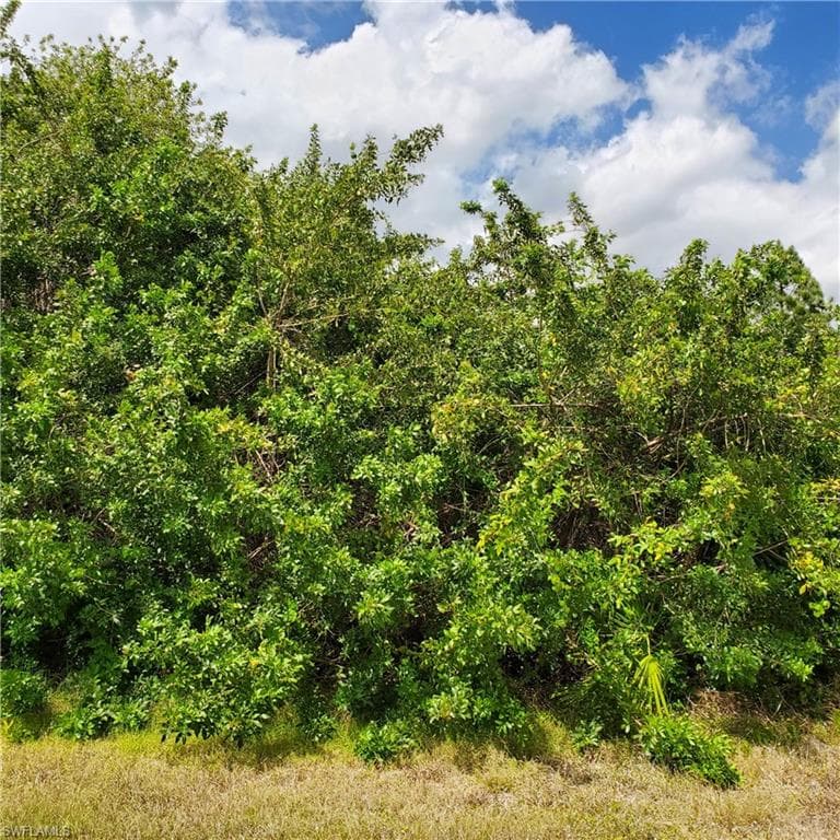 863 Clow ST E LEHIGH ACRES, FL 33974