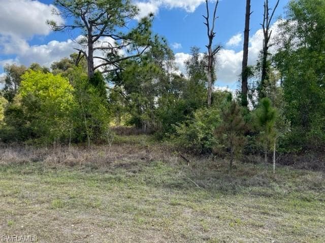 815 Bell BLVD S LEHIGH ACRES, FL 33974