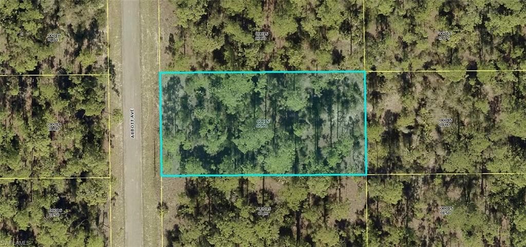 2106 Abbott AVE ALVA, FL 33920