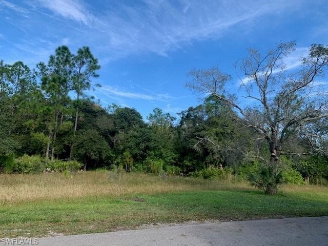 19501 Witts End ALVA, FL 33920