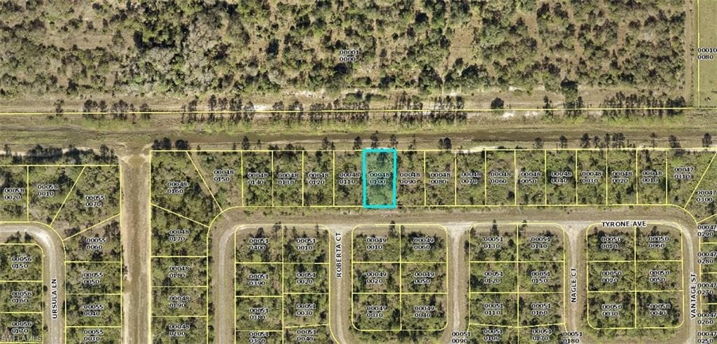 320 Tyrone AVE LEHIGH ACRES, FL 33972