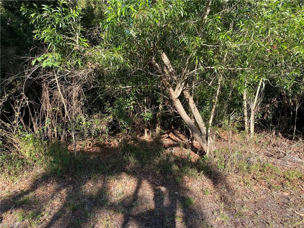608 Myers CT LEHIGH ACRES, FL 33972