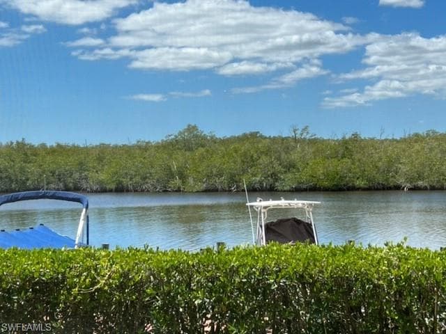 254 Newport DR 403 NAPLES, FL 34114